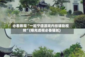 必看教程“一起宁德游戏内挂辅助视频”(曝光透视必备猫腻)