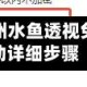 软件分享“金州水鱼透视免费”开挂辅助详细步骤