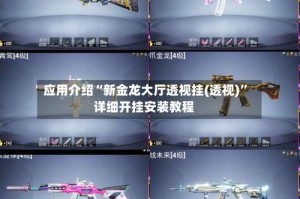 应用介绍“新金龙大厅透视挂(透视)”详细开挂安装教程