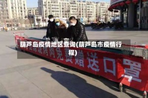 葫芦岛疫情地区查询(葫芦岛市疫情行程)
