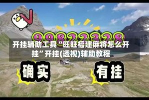 开挂辅助工具“旺旺福建麻将怎么开挂”开挂(透视)辅助教程