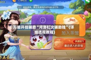 万能开挂辅助“河洛杠次辅助挂”(详细透视教程)