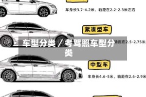 车型分类／考驾照车型分类