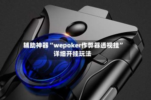 辅助神器“wepoker作弊器透视挂”详细开挂玩法