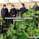 临夏地区疫情如何控制好(临夏地区疫情如何控制好了)