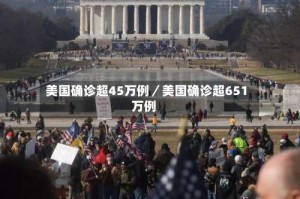 美国确诊超45万例／美国确诊超651万例