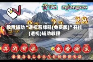 教程辅助“透视看牌器(免费版)”开挂(透视)辅助教程