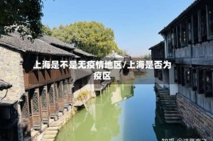 上海是不是无疫情地区/上海是否为疫区