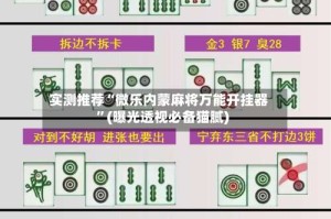 实测推荐“微乐内蒙麻将万能开挂器”(曝光透视必备猫腻)