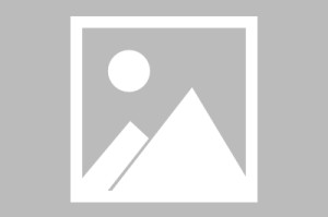 疫情最新报告河北地区(河北最新疫情查询)