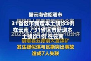 31省区市新增本土确诊3例在云南／31省区市新增本土确诊1例 在云南