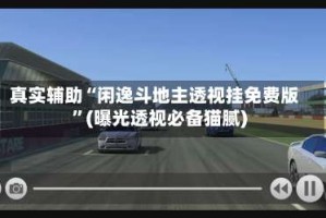 真实辅助“闲逸斗地主透视挂免费版”(曝光透视必备猫腻)