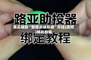真实辅助“新道游辅助器”开挂(透视)辅助教程