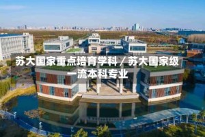 苏大国家重点培育学科／苏大国家级一流本科专业