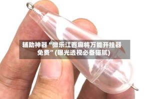 辅助神器“微乐江西麻将万能开挂器免费”(曝光透视必备猫腻)