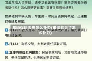 车辆保险丢失怎么补办(车保险丢了怎么补办)