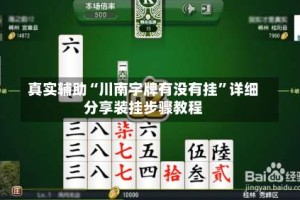 真实辅助“川南字牌有没有挂”详细分享装挂步骤教程