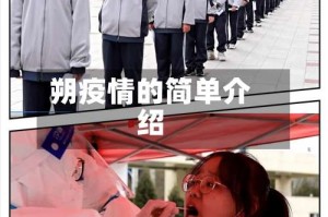 朔疫情的简单介绍