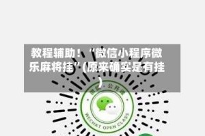 教程辅助！“微信小程序微乐麻将挂”(原来确实是有挂)