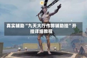 真实辅助“九天大厅作弊辅助挂”开挂详细教程