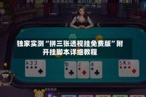 独家实测“拼三张透视挂免费版”附开挂脚本详细教程