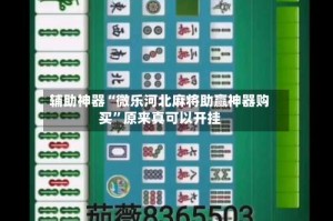 辅助神器“微乐河北麻将助赢神器购买”原来真可以开挂