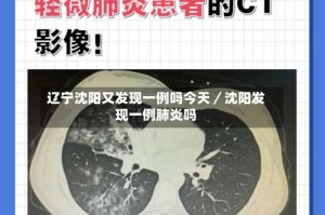 辽宁沈阳又发现一例吗今天／沈阳发现一例肺炎吗