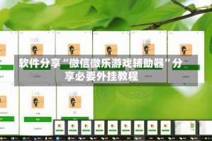软件分享“微信微乐游戏辅助器”分享必要外挂教程