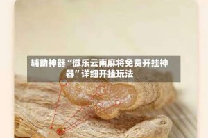 辅助神器“微乐云南麻将免费开挂神器”详细开挂玩法