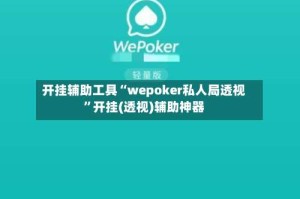 开挂辅助工具“wepoker私人局透视”开挂(透视)辅助神器