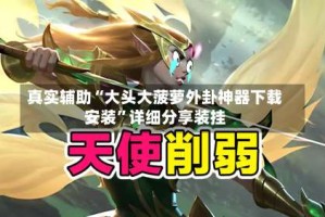 真实辅助“大头大菠萝外卦神器下载安装”详细分享装挂