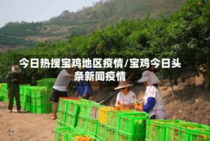 今日热搜宝鸡地区疫情/宝鸡今日头条新闻疫情