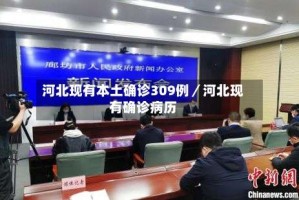 河北现有本土确诊309例／河北现有确诊病历