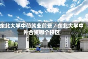 东北大学中荷就业前景／东北大学中外合资哪个校区