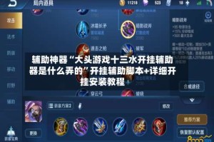 辅助神器“大头游戏十三水开挂辅助器是什么弄的”开挂辅助脚本+详细开挂安装教程