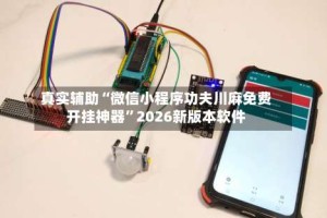 真实辅助“微信小程序功夫川麻免费开挂神器”2026新版本软件