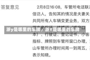 浙y是哪里的车牌／浙Y是哪里的车牌