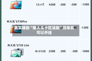 真实辅助“懒人斗十四辅助”原来真可以开挂