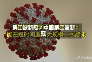 第二波新冠／中国第二波新冠
