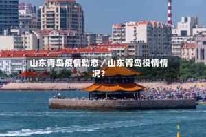 山东青岛疫情动态／山东青岛役情情况？