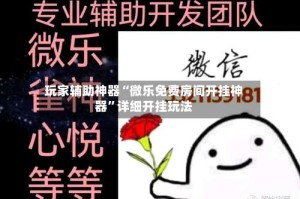 玩家辅助神器“微乐免费房间开挂神器”详细开挂玩法