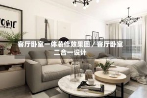 客厅卧室一体装修效果图／客厅卧室二合一设计