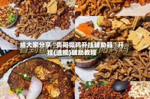 给大家分享“贵阳捉鸡开挂辅助器”开挂(透视)辅助教程