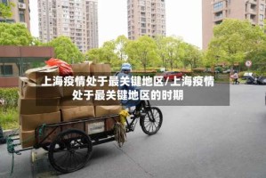 上海疫情处于最关键地区/上海疫情处于最关键地区的时期