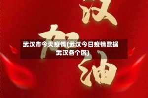 武汉市今天疫情(武汉今日疫情数据武汉各个区)