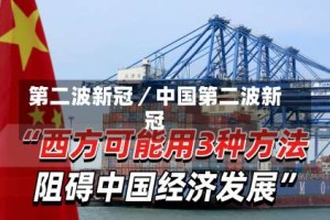 第二波新冠／中国第二波新冠