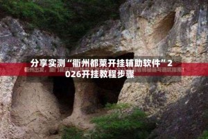 分享实测“衢州都莱开挂辅助软件”2026开挂教程步骤