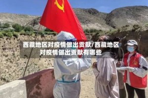 西藏地区对疫情做出贡献/西藏地区对疫情做出贡献有哪些
