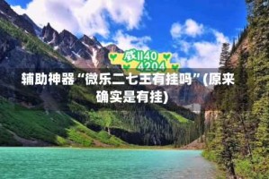 辅助神器“微乐二七王有挂吗”(原来确实是有挂)