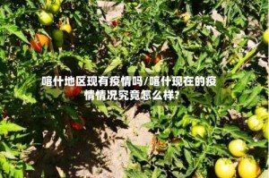 喀什地区现有疫情吗/喀什现在的疫情情况究竟怎么样?